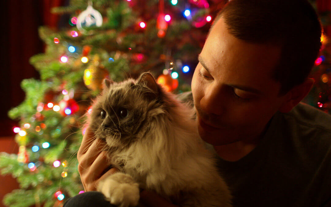 https://commons.wikimedia.org/wiki/File:Christmas_Cat_-_Flickr_-_Joe_Parks.jpg