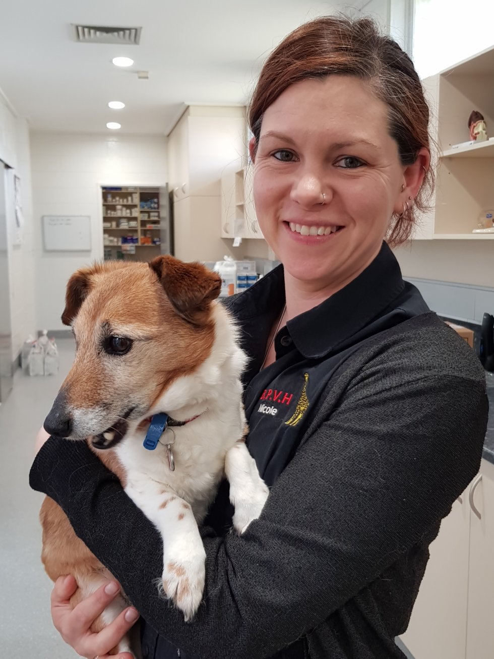 Friendly & Caring Vet Nurses at Brandon Park Vet Hospital