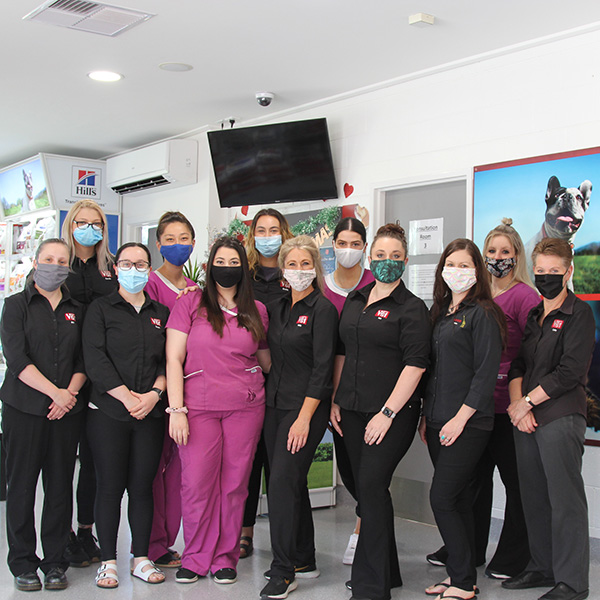 Brandon Park Vet Hospital is your local Glen Waverley Vet