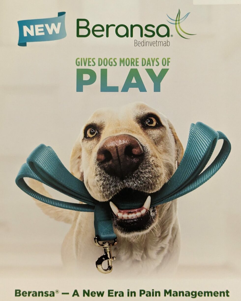 View of Beransa - A New Era in Chronic Arthritis and Joint Pain Management in ...