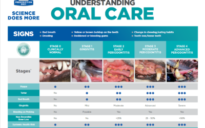 Stages of Dental Disease